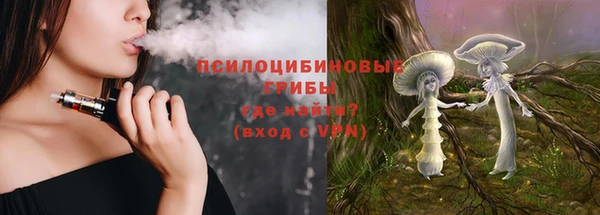 прущий лед Алексин