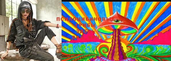 гашик Абинск