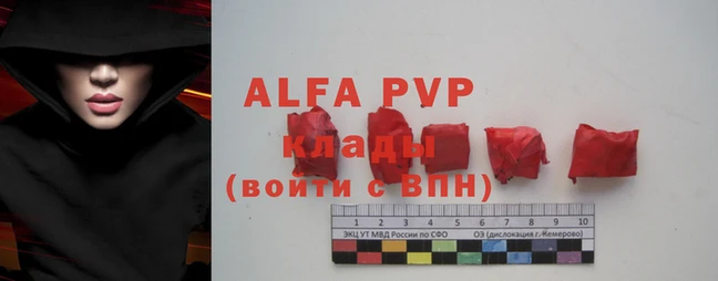 спиды Абаза