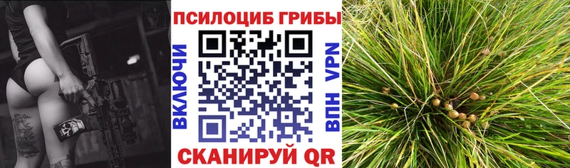 Галлюциногенные грибы Magic Shrooms Кашира